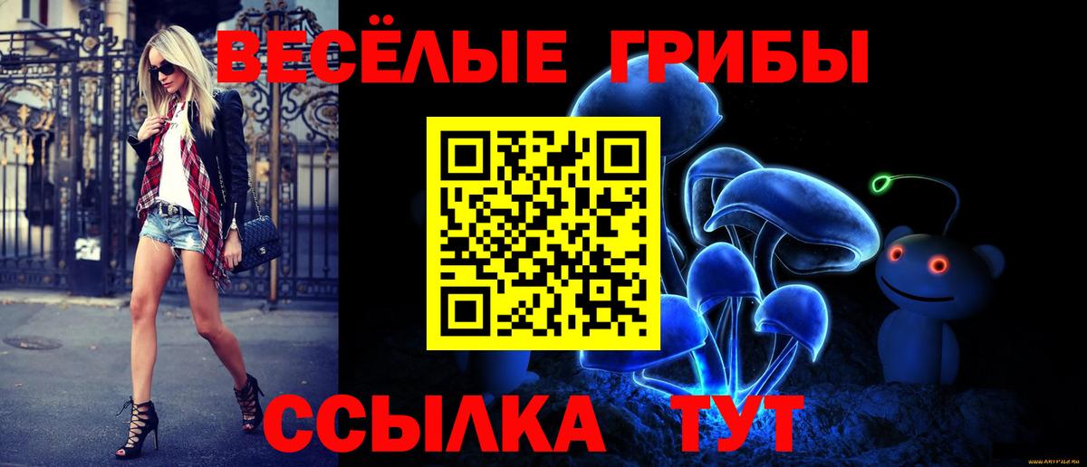Галлюциногенные грибы GOLDEN TEACHER Туймазы