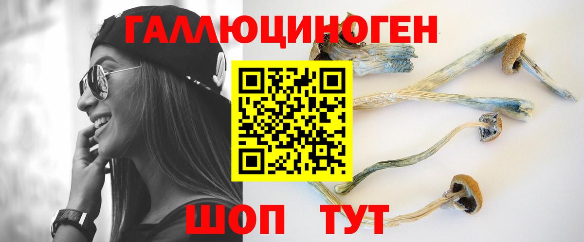 Туймазы  Галлюциногенные грибы GOLDEN TEACHER  Вход с VPN 